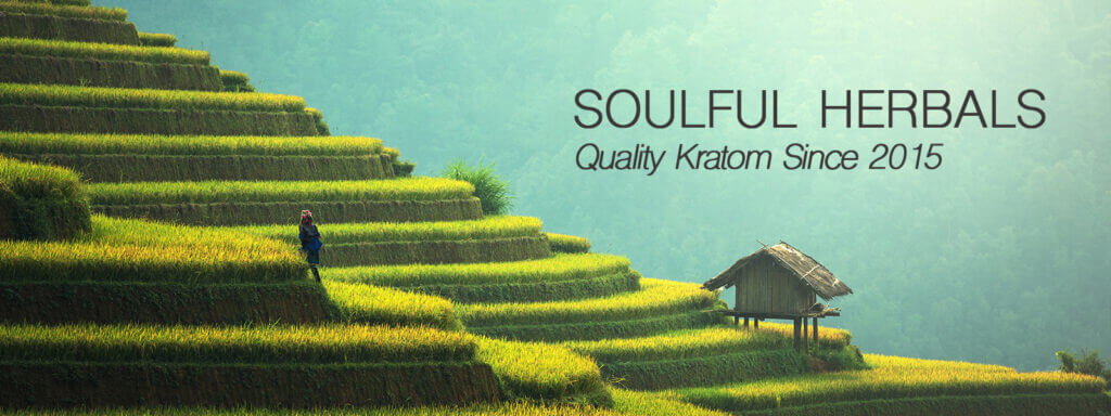 Kratom powder wholesale