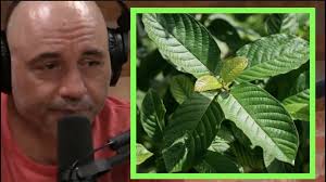 kratom joe rogan