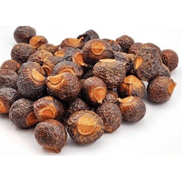 buy soap nuts