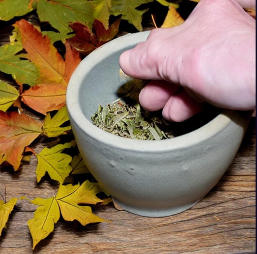 Herbal Remedies for Pain Relief