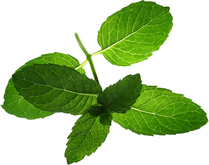 What is Kratom?