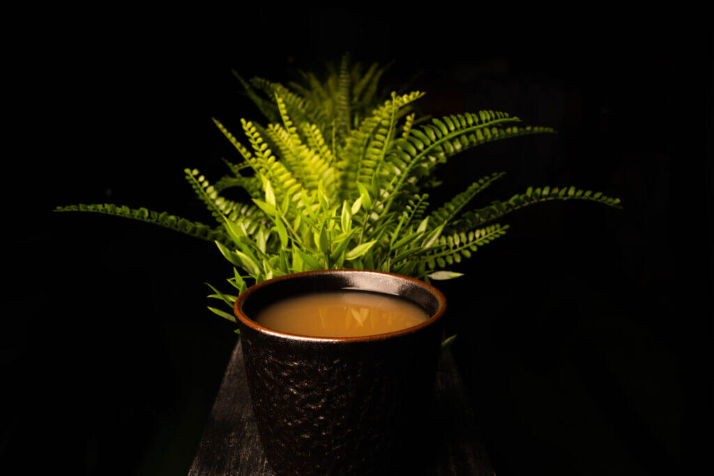 Kava and kratom difference